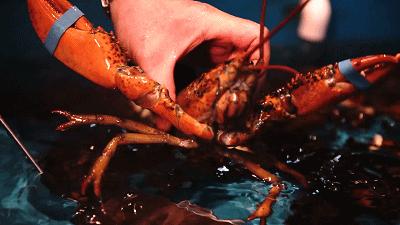 鲜嫩多汁网红的高压锅生蚝,蒜蓉生蚝罐头即食乳山生蚝