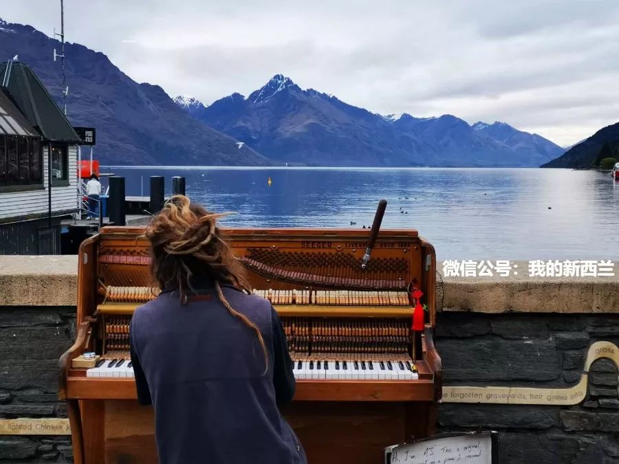 新西兰网红故事,新西兰人真实故事