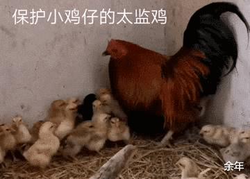 一男子在山洞里挖出一只奇怪生物,湖北一男子挖到老鼠窝