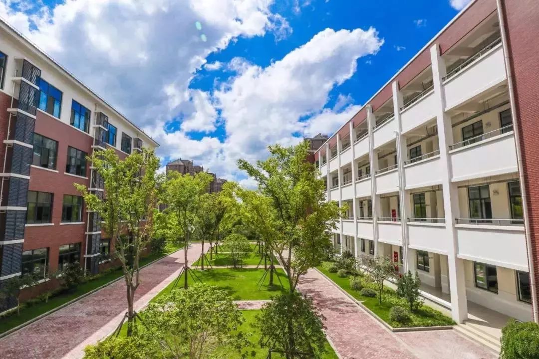 上海各区小升初学校排名,上海市区新开小学