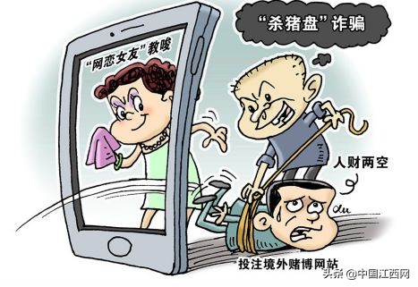 新型骗局杀猪盘,警惕杀猪盘骗局海南警方提醒