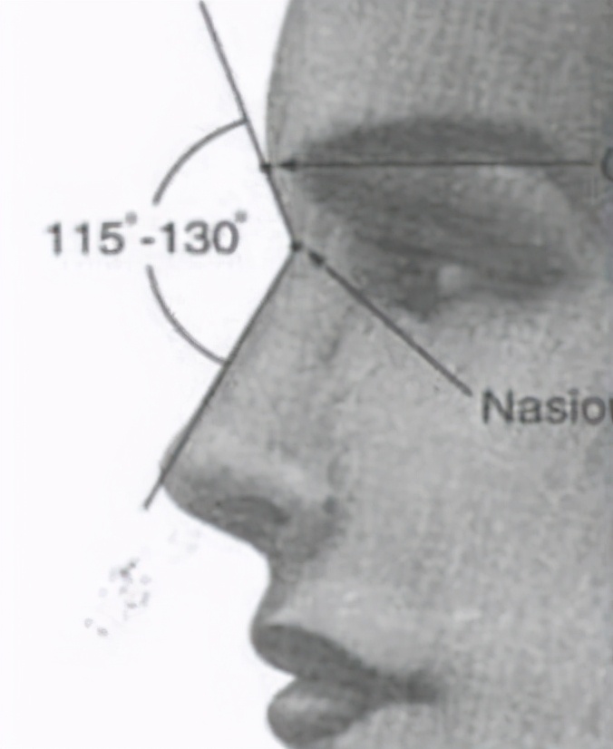 好看的鼻子类型驼峰鼻,好看的鼻型有哪几种