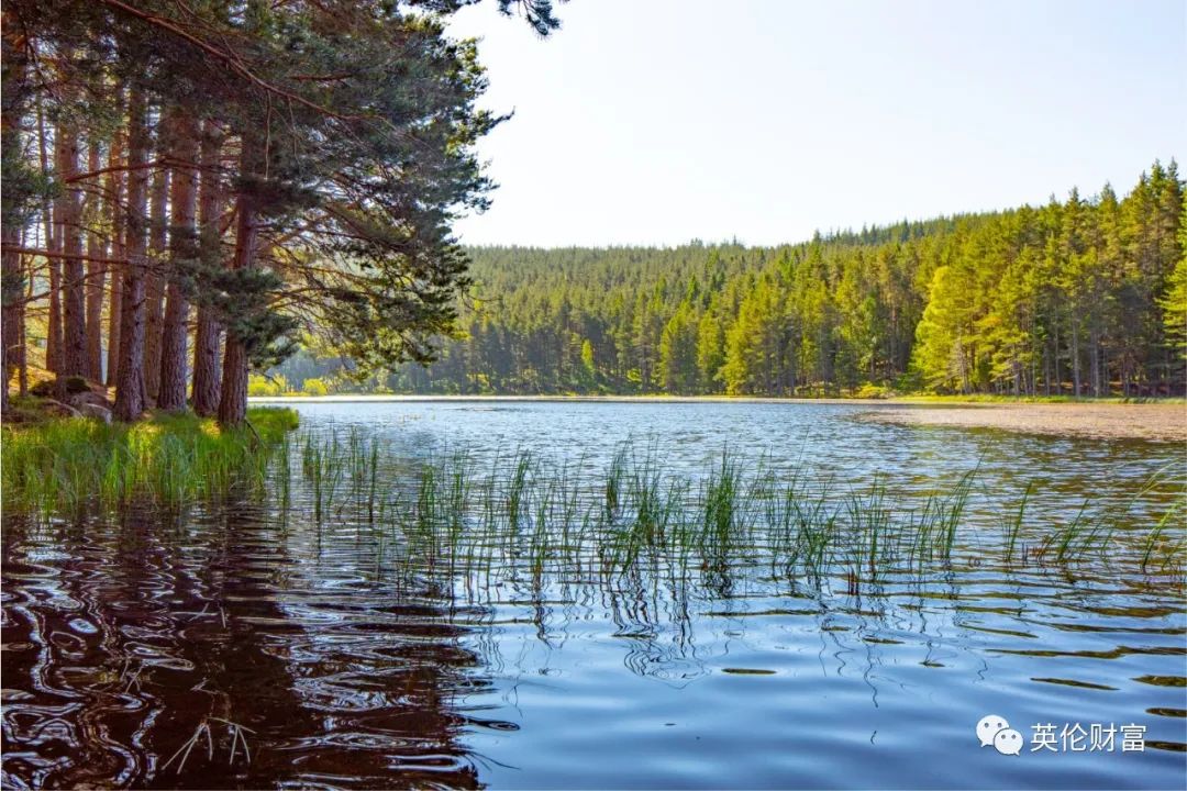 伦敦一套公寓价=万亩庄园,539年来首次出售,女王邻居.带森林河流
