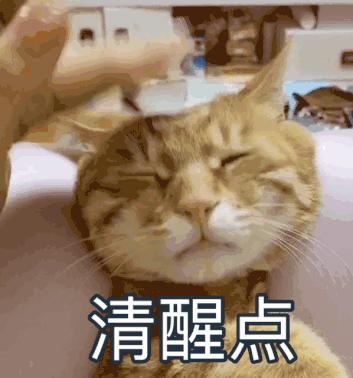 NB327领衔，今年鞋市的韭菜鞋们你都避开了吗？