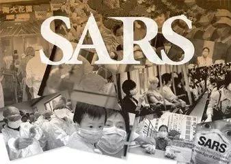 慕柏网：一个殡葬人眼里的世界