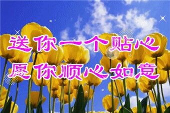 2020新年寄语完整版,2020新年寄语