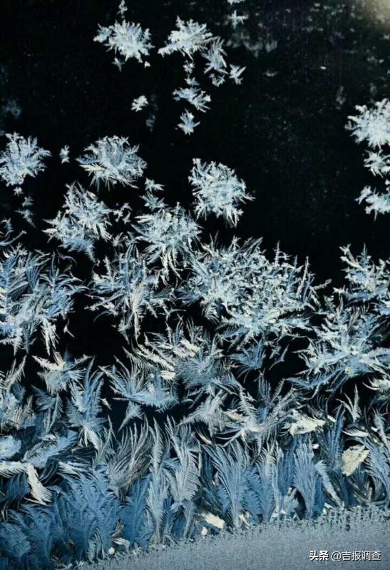 玻璃窗上的霜花像什么,玻璃上的霜花是什么样子