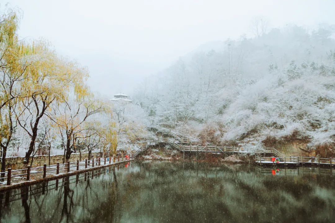 九如山冬日旅游,九如山旅游攻略一日游春季