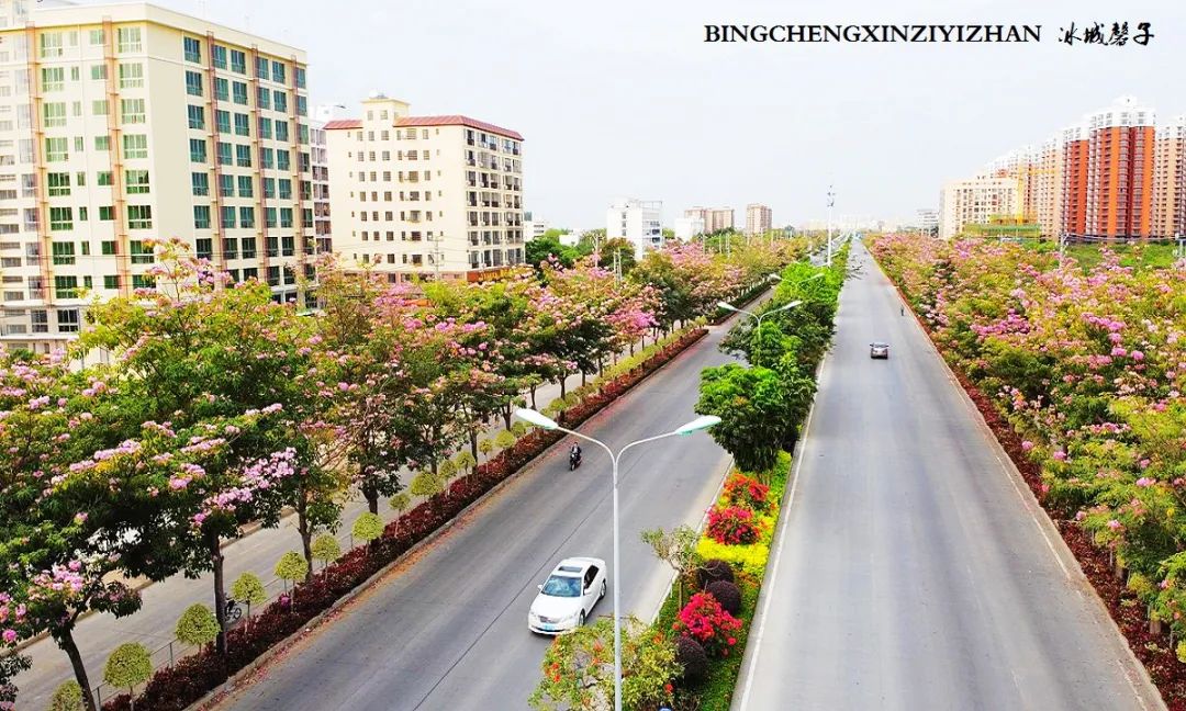 海南乐东九所康养度假村,海南乐东九所康养基地有哪些