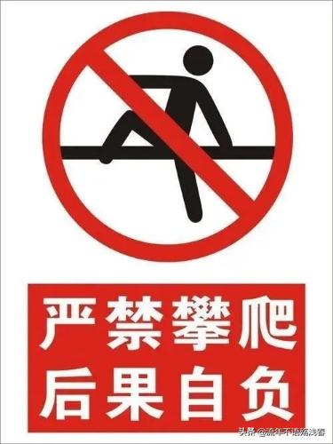 双胞胎鉴定同母异父,双胞胎鉴定同母异父视频完整版