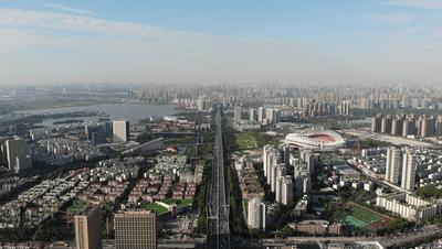 武汉经济第一镇,武汉市经济第一区