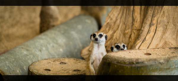 泰旅局发布2019年泰国旅游新玩法,曼谷漫游攻略