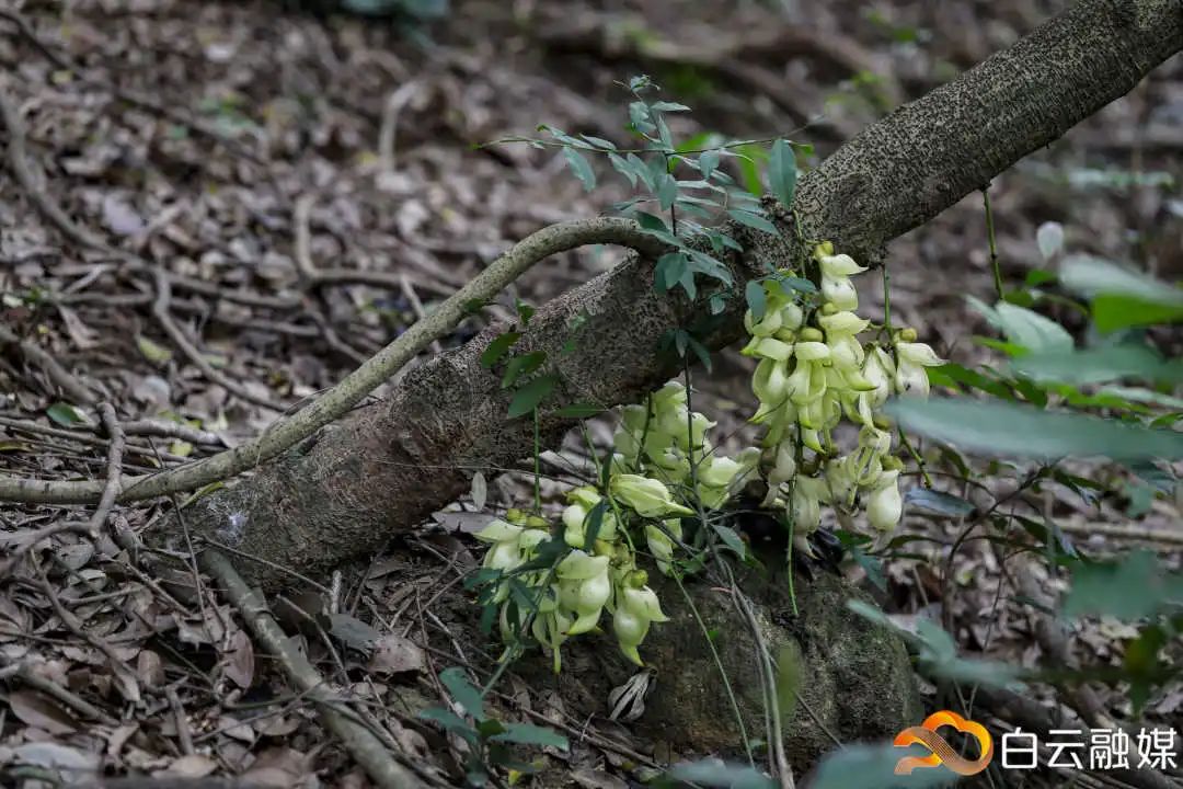 走一起去看美丽的风景,走一起去看美好的风景