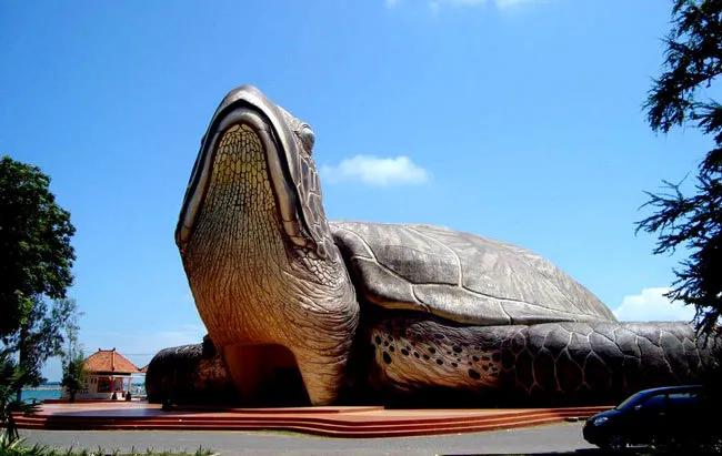 看了就想养的宠物,看了就想养宠物的视频