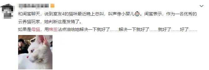春天来了，家里的动物开始了兴奋，被困在家中的你该如何帮助它呢