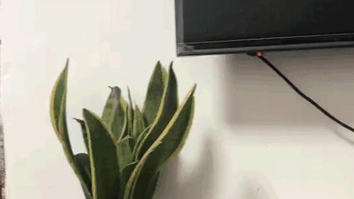 如何用手机红外检测针孔摄像头,针孔摄像头探测仪真的有用吗