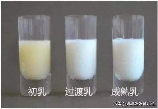 让宝宝知道母乳喂养的重要性,母乳喂养知识宣传知识