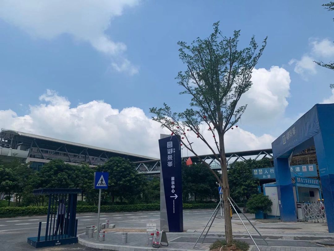 实探深圳顶级学区房,深圳南山豪宅复式楼盘