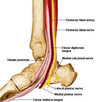 跑步者怎样进行力量训练的视频,如何练就一个正确的跑步姿势