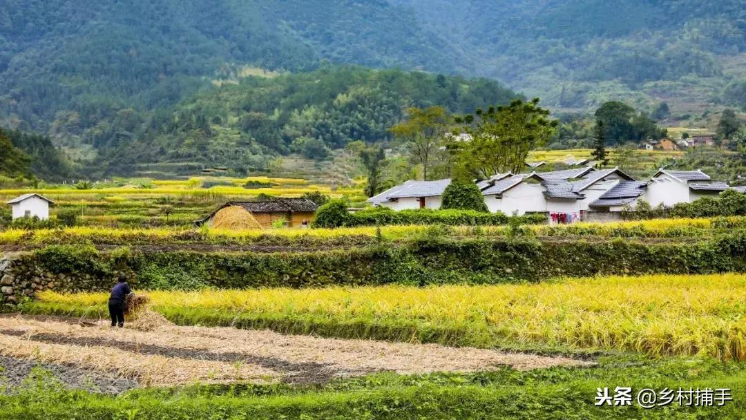 南粤古驿道拍摄后记,2018南粤古驿道展示