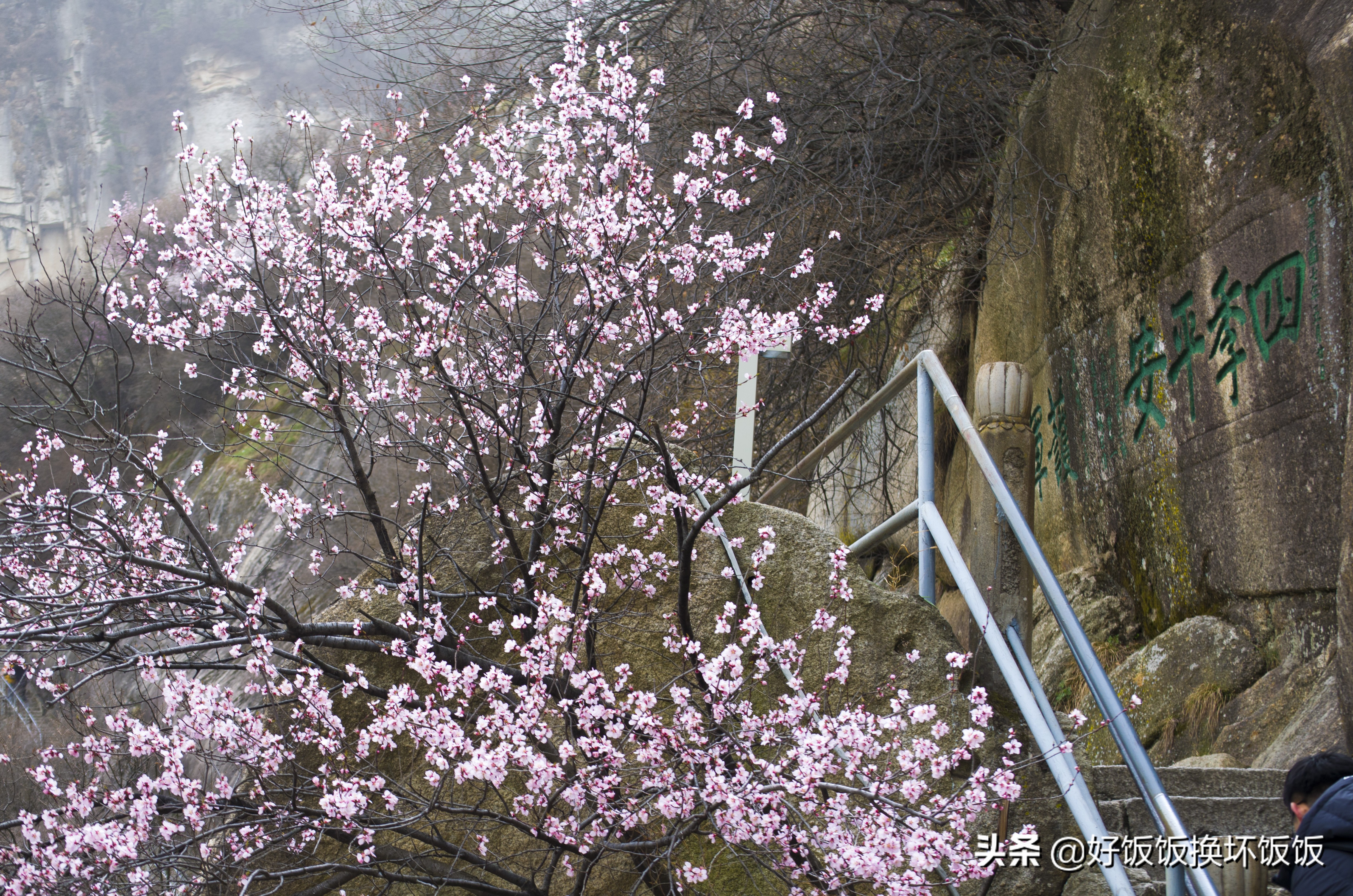 华山站到华山北峰怎么走,华山西峰到华山北峰山路怎样