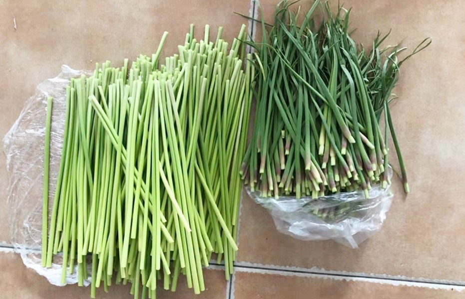 腌蒜薹洗好蒜苔晾多久,蒜薹怎么腌放得长久