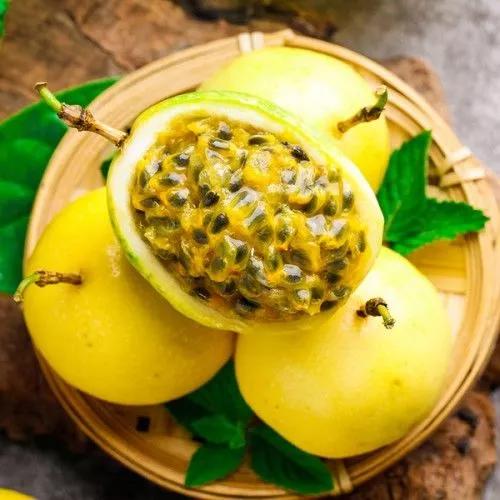 广西梧州最好的果园,梧州摘水果的地方