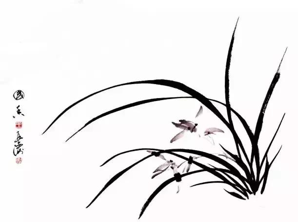 跟徐湛学国画兰草的画法,跟徐湛老师学国画全集兰草画法