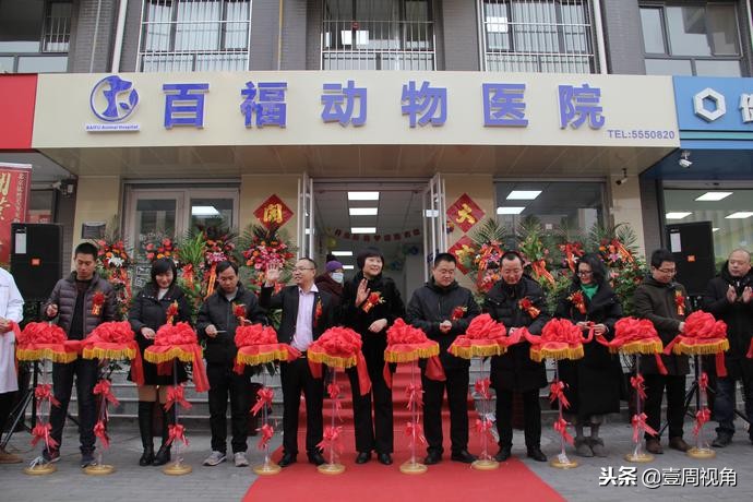 廊坊人自己的平价动物医院—百福动物医院正式开业