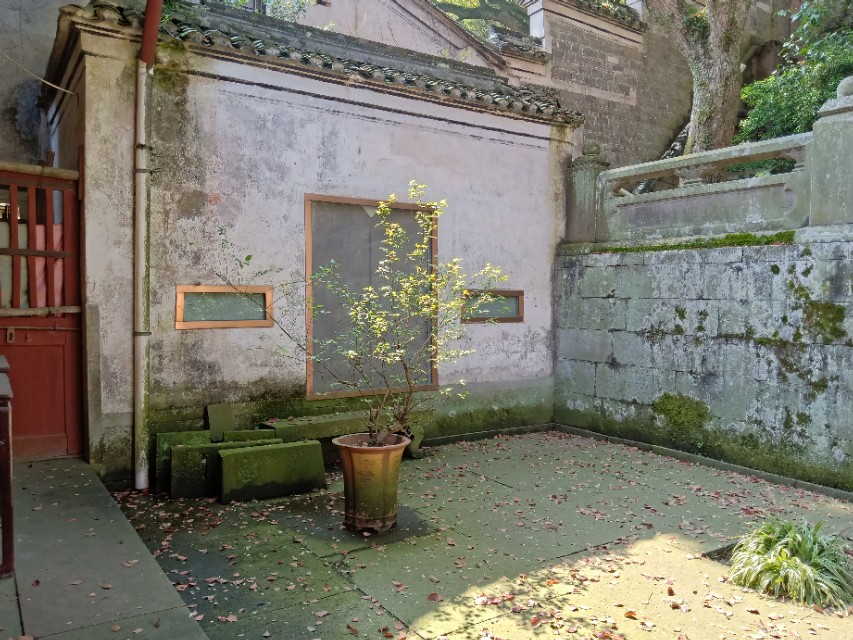 撞钟祈福阿育王塔,阿育王寺祈求什么