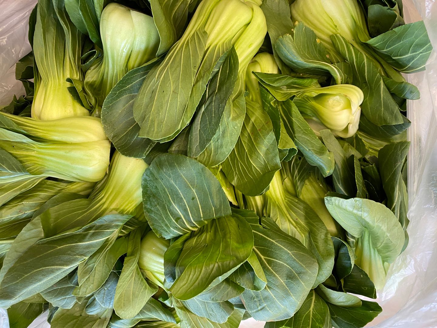 免费代购蔬菜还免费送酒精，这样的老板还有人骂？