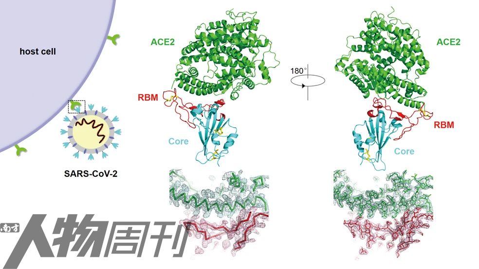新冠疫苗之疫苗科普小知识 (疫苗最新消息新冠疫苗种类)