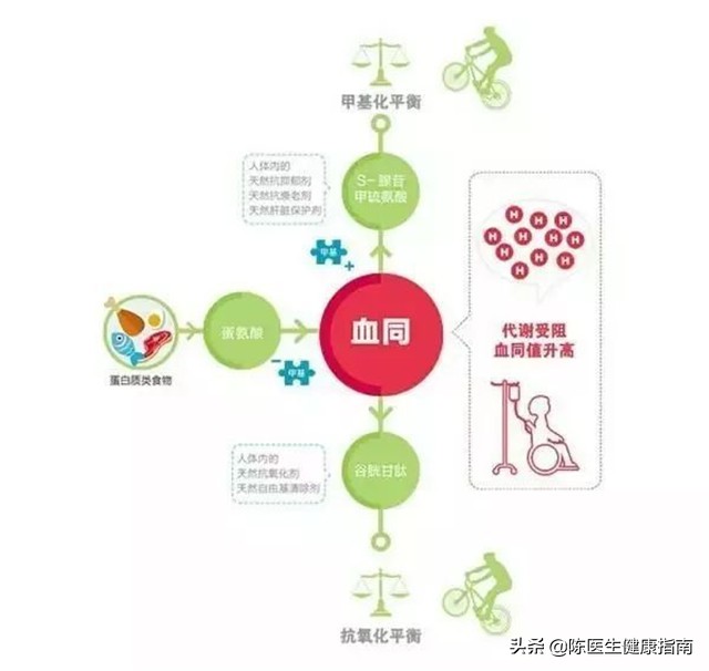 高血压同型半胱氨酸高补哪种叶酸 (高血压同型半胱氨酸多少要吃叶酸)