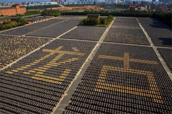 厦门能带走的特产视频,厦门十大特产茶薄荷茶