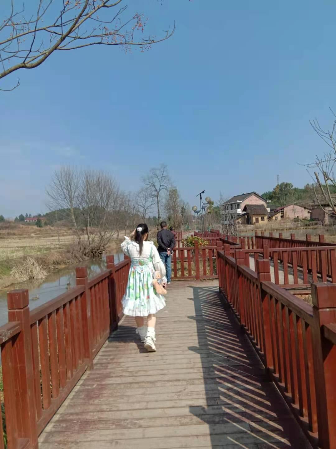 小小鸟,长篇小说）第五章不一样的天空第5节