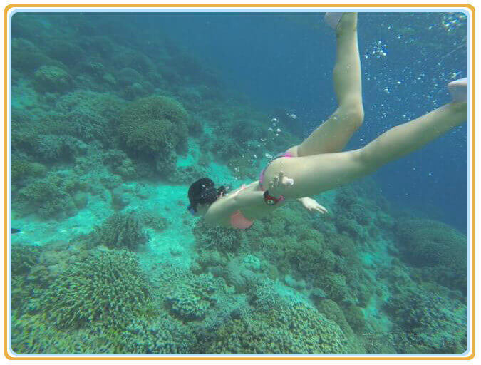 菲律宾海滨游学,菲律宾宿务游学地点