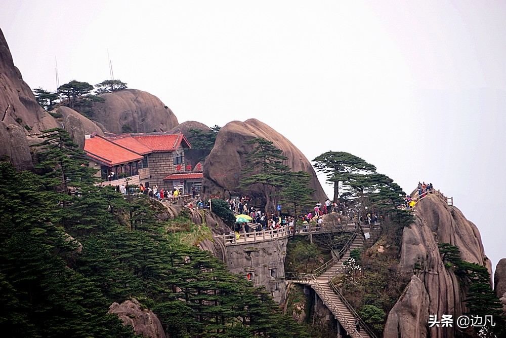 黄山迎客松是真树还是假树,黄山迎客松直播