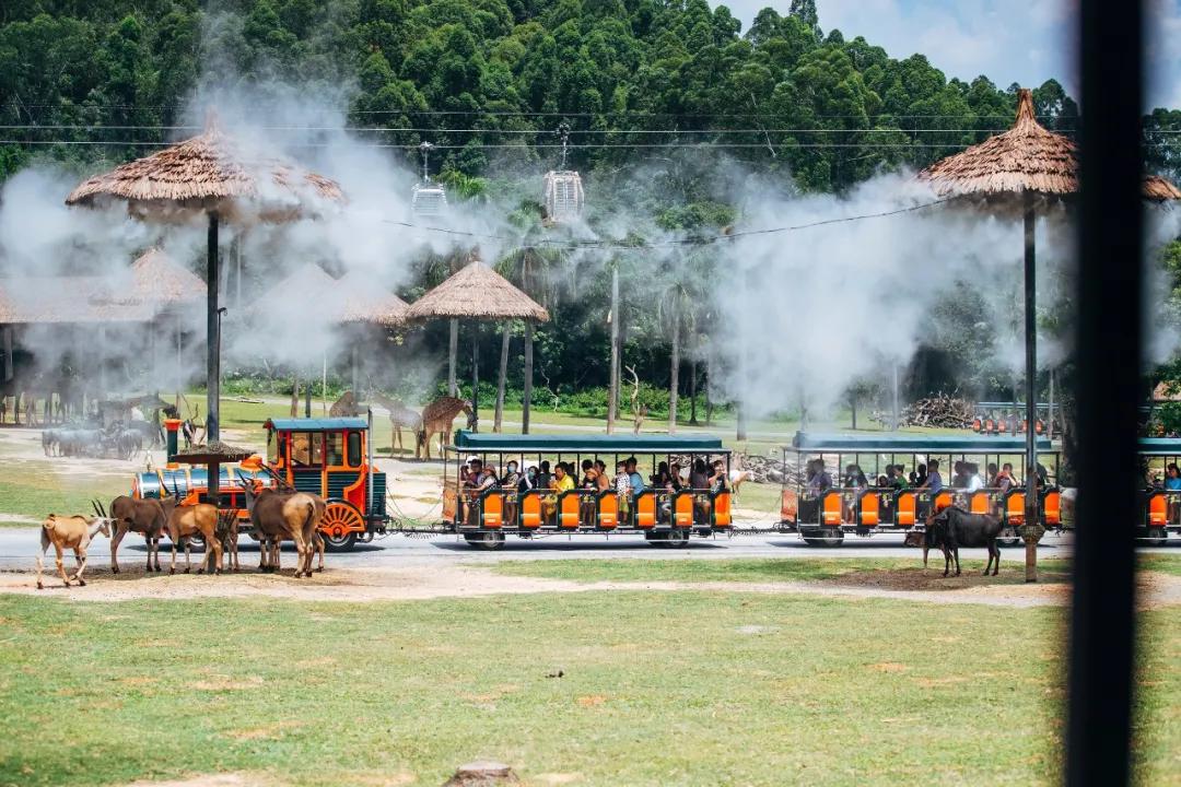 长隆飞鸟乐园长隆熊猫酒店怎么选,周一长隆野生动物园游玩攻略
