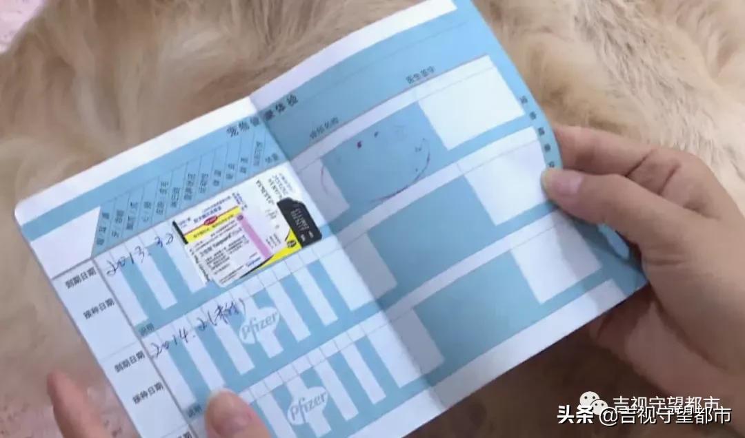 长春养犬管理条例是什么,长春市养犬证办理流程