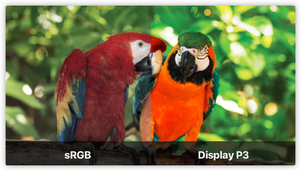 2023双11显示器27寸推荐,2023显示器选购