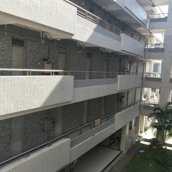 广东南华工商职业学院2024招生,2019年广东南华工商职业学院