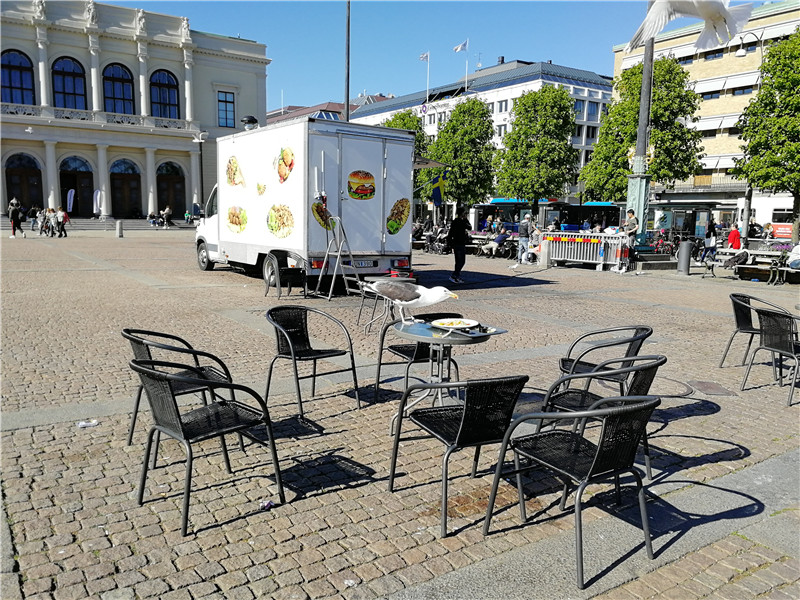 与Volvo同行奔跑在路上——哥德堡半程马拉松之旅(上)