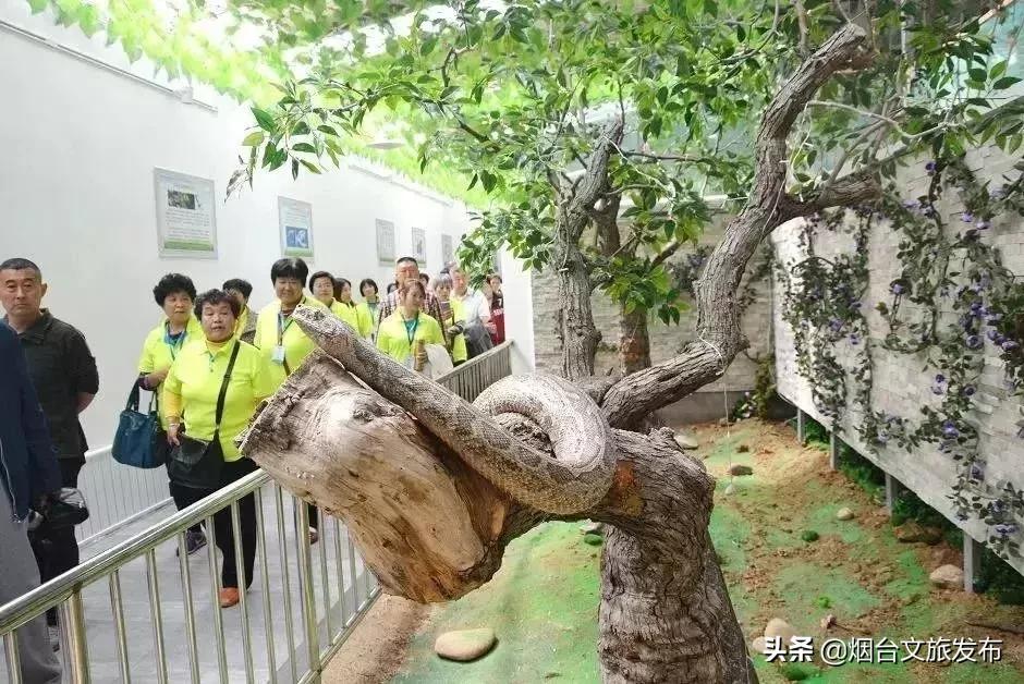 閬囪閱夌編閲戠,閬囪閱夌編閲戠鏂囨梾绯诲垪娲诲姩鍙戝竷