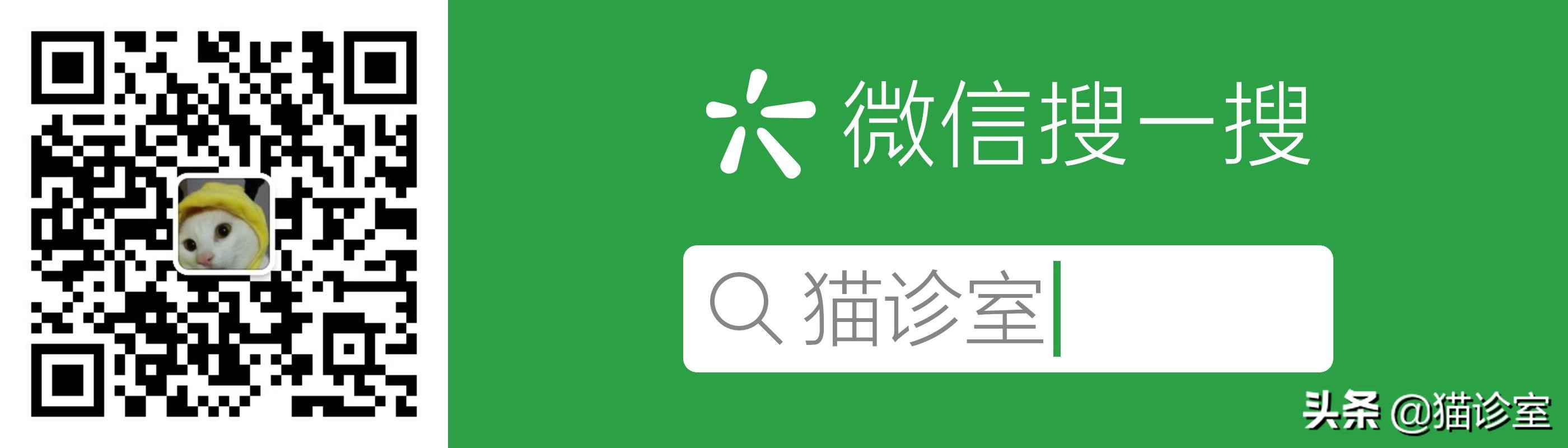 猫癣2.1:猫咪长了猫癣怎么治