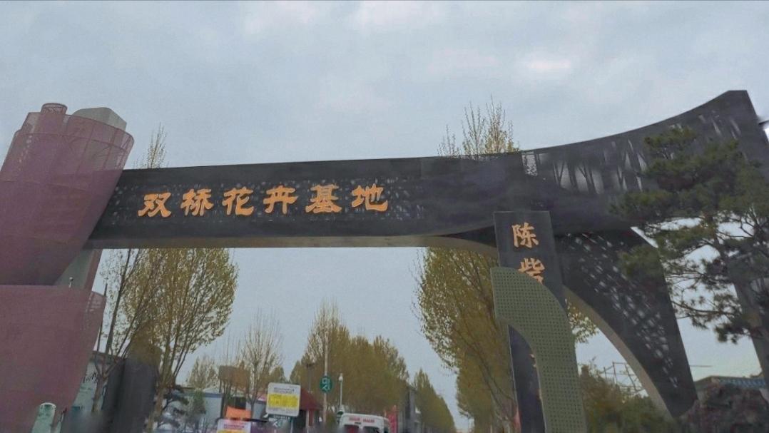 郑州花卉交易市场买花,郑州凤凰花卉市场是在二七区吗