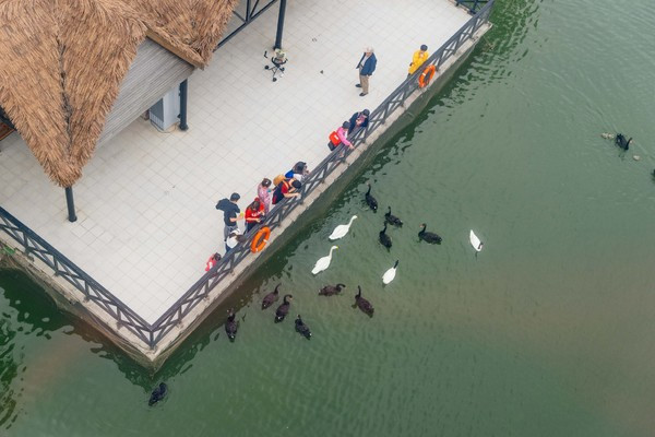 广州长隆旅游攻略自由行详细,广州长隆五一节3天2夜亲子游攻略