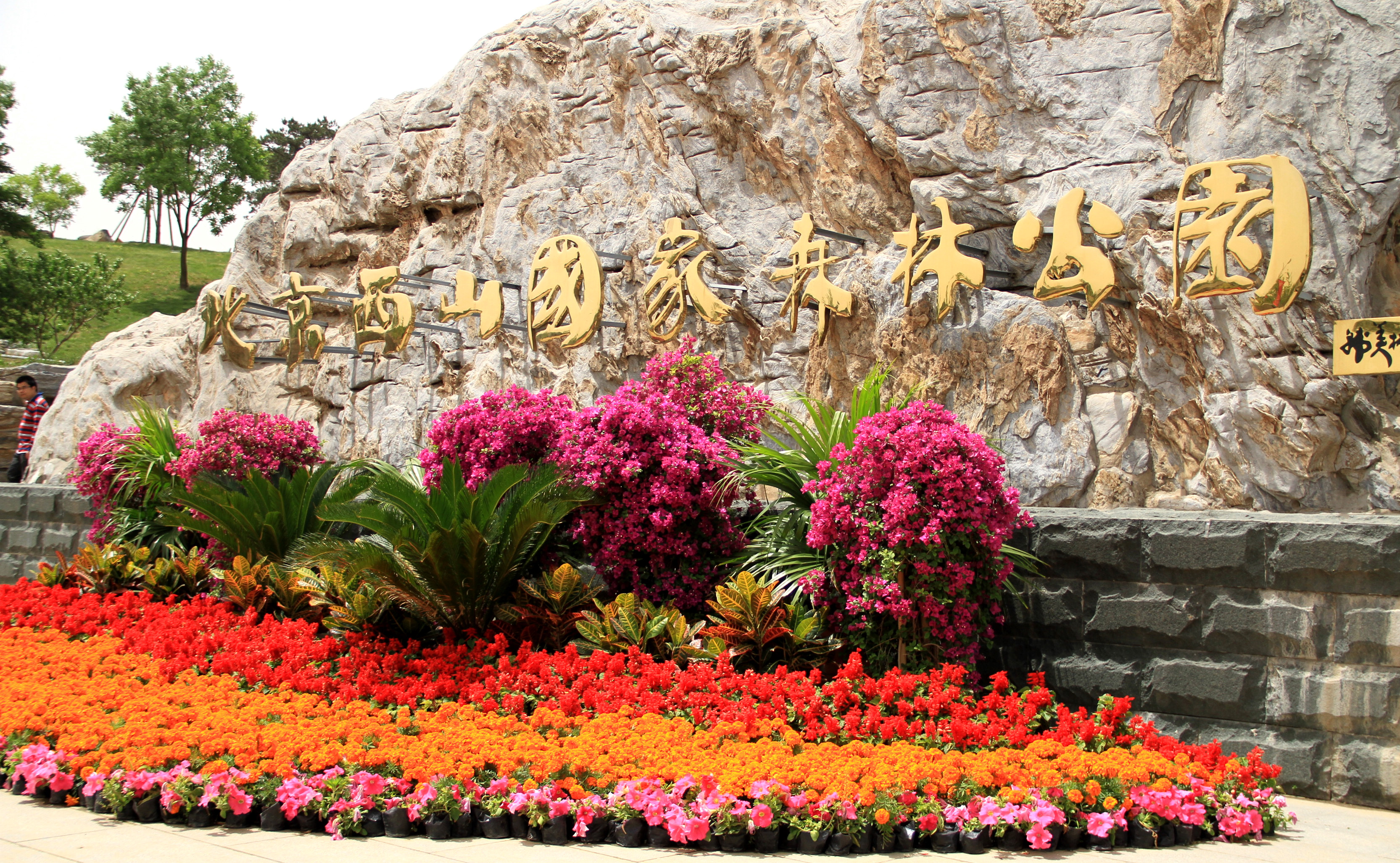 西山国家森林公园从哪进去省钱,西山国家森林公园遛娃线路