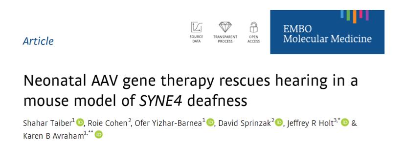 首个治疗耳聋的基因疗法,基因疗法治遗传性听力最新消息