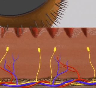 药学博士护肤品选择,药学博士眼里的护肤品
