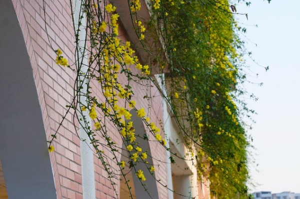 巴中市第四中学西华山春游,巴中高中春游